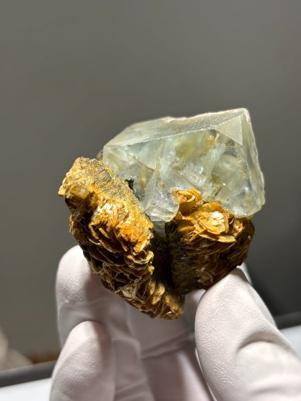 Pale green fluorite octahedron on golden mica from Xuebaoding, Sichuan, China, held in gloved hand