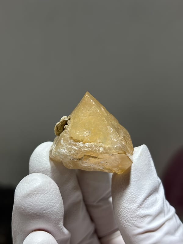 Pale honey scheelite crystal with mica from Xuebaoding, Sichuan, China, held in gloved hand