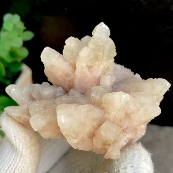 Spray of pale pink calcite points from Guizhou, China