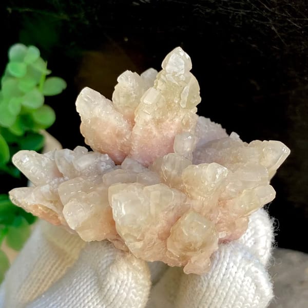 Spray of pale pink calcite points from Guizhou, China, view 2 of 9