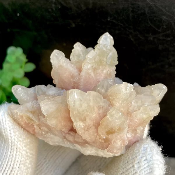 Spray of pale pink calcite points from Guizhou, China, view 3 of 9