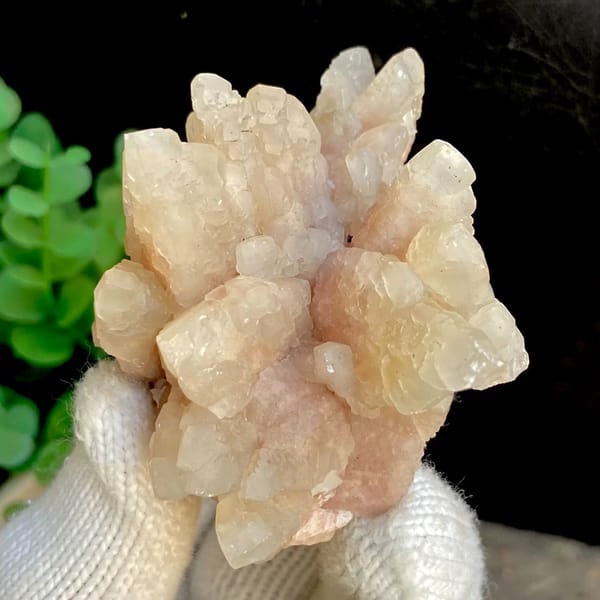 Spray of pale pink calcite points from Guizhou, China, view 5 of 9