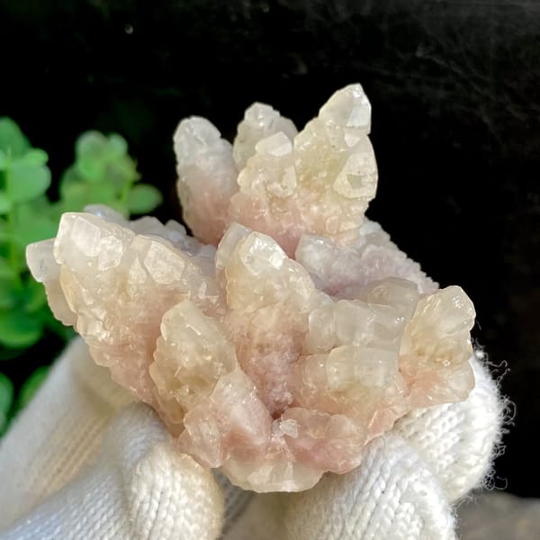 Spray of pale pink calcite points from Guizhou, China, view 6 of 9