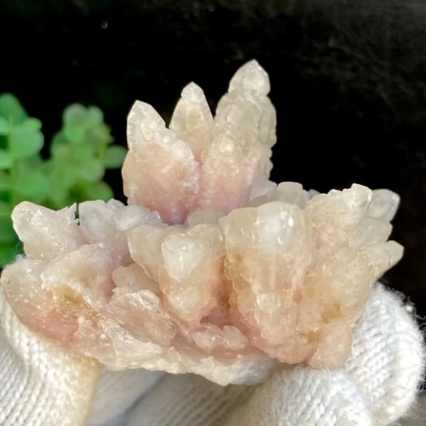 Spray of pale pink calcite points from Guizhou, China, view 7 of 9