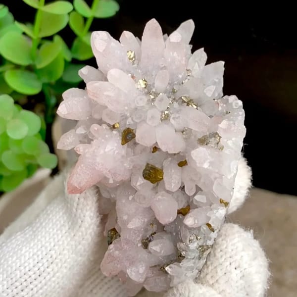 Pale pink quartz cluster with brassy chalcopyrite from Jiangxi, China