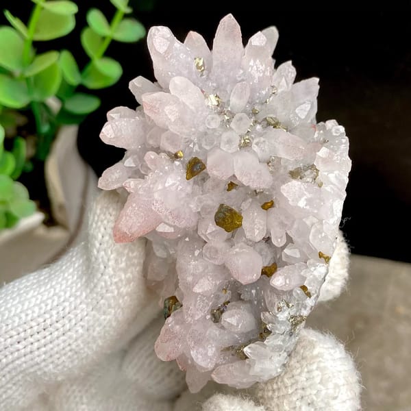 Pale pink quartz cluster with brassy chalcopyrite from Jiangxi, China, view 2 of 9