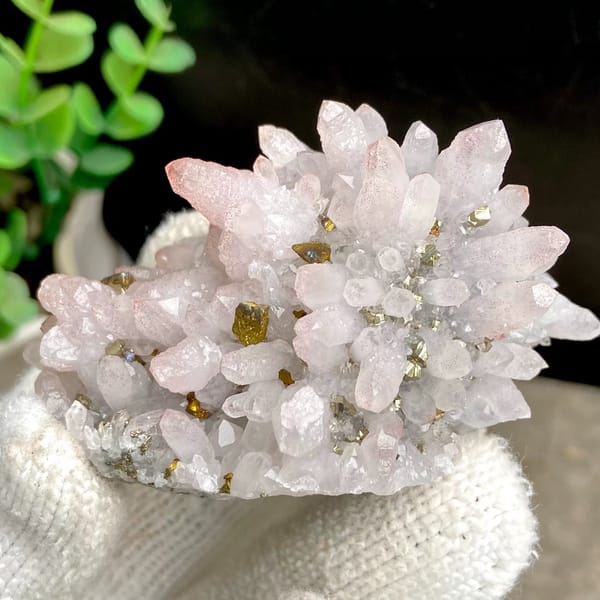Pale pink quartz cluster with brassy chalcopyrite from Jiangxi, China, view 3 of 9