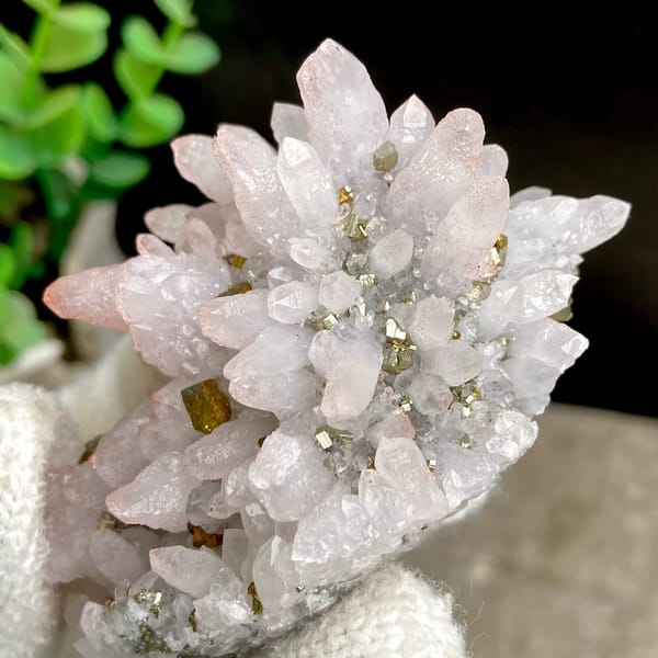 Pale pink quartz cluster with brassy chalcopyrite from Jiangxi, China, view 4 of 9