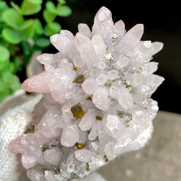 Pale pink quartz cluster with brassy chalcopyrite from Jiangxi, China, view 6 of 9
