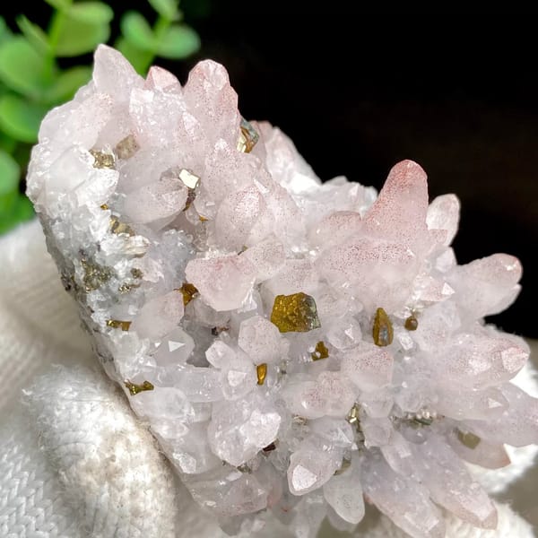 Pale pink quartz cluster with brassy chalcopyrite from Jiangxi, China, view 8 of 9