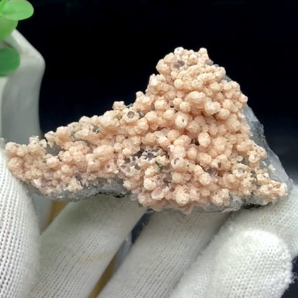 Pale pink botryoidal rhodochrosite over grey quartz from Guangxi, China