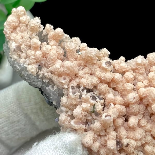 Pale pink botryoidal rhodochrosite over grey quartz from Guangxi, China, view 7 of 9