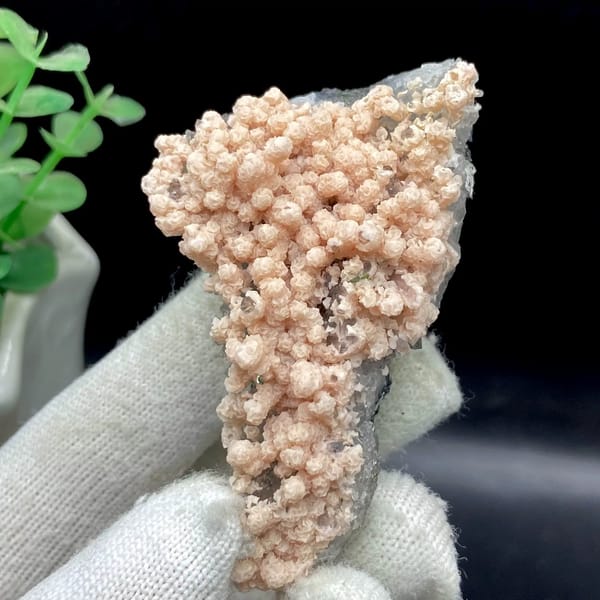 Pale pink botryoidal rhodochrosite over grey quartz from Guangxi, China, view 9 of 9