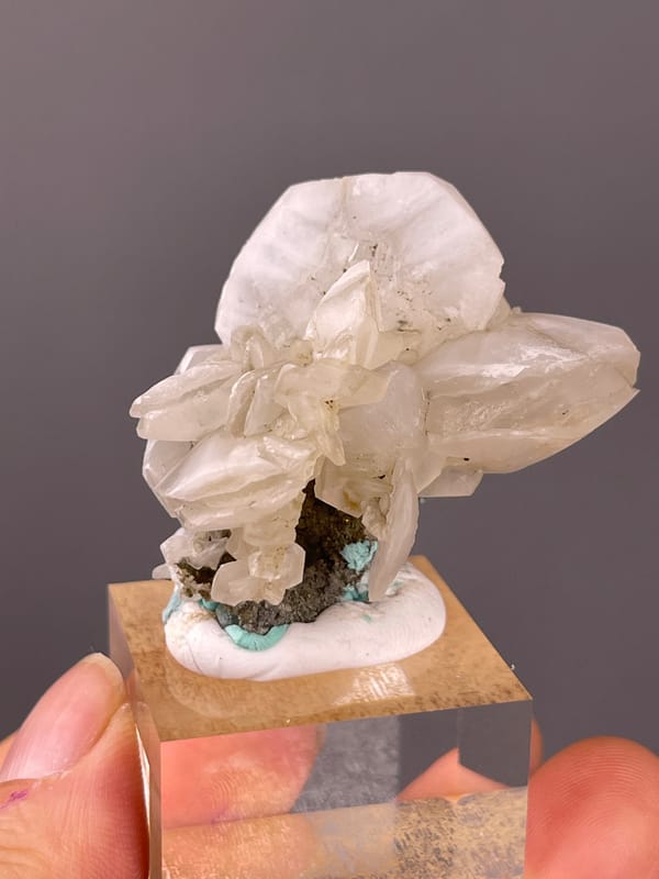Petal-form Calcite specimen from Longyan, Fujian, China showing cream calcite blades and rhombohedra