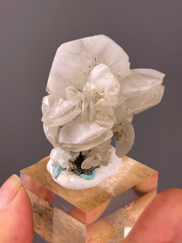 Petal-form Calcite specimen from Longyan, Fujian, China, defined by cream calcite blades and rhombohedra