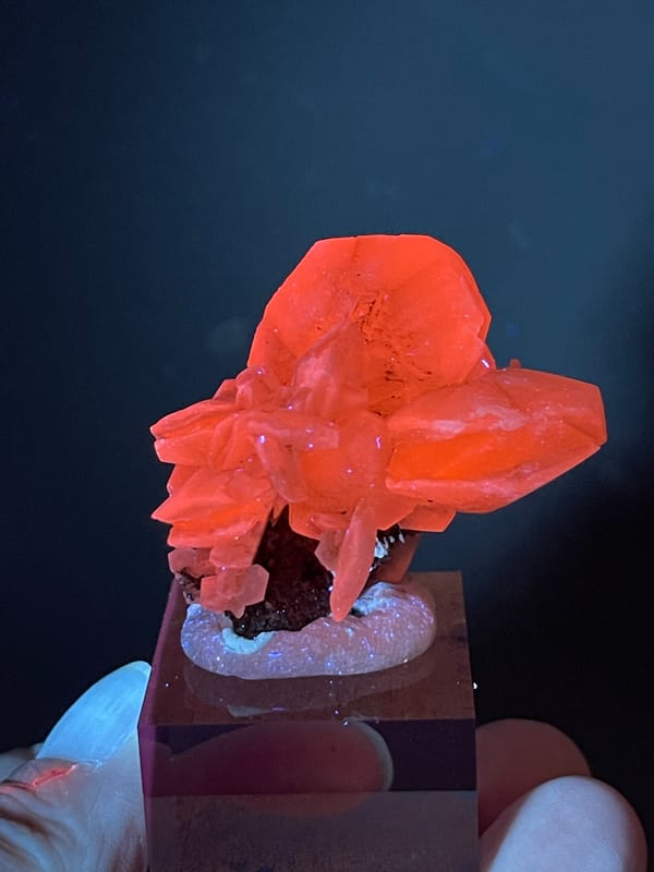 Petal-form Calcite specimen from Longyan, Fujian, China highlighting strong red-orange fluorescence under ultraviolet light