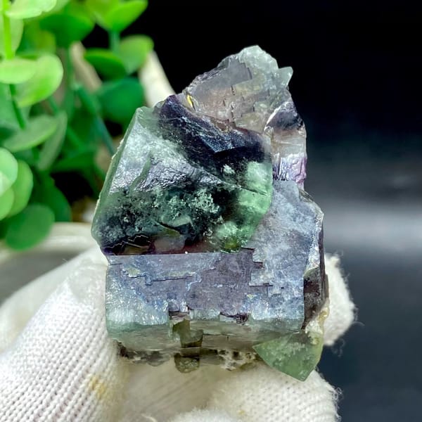 Phantom fluorite glowing magenta when, from Inner Mongolia, China, front view in daylight, view 5 of 9