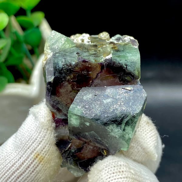 Phantom fluorite glowing magenta when, from Inner Mongolia, China, front view in daylight, view 9 of 9