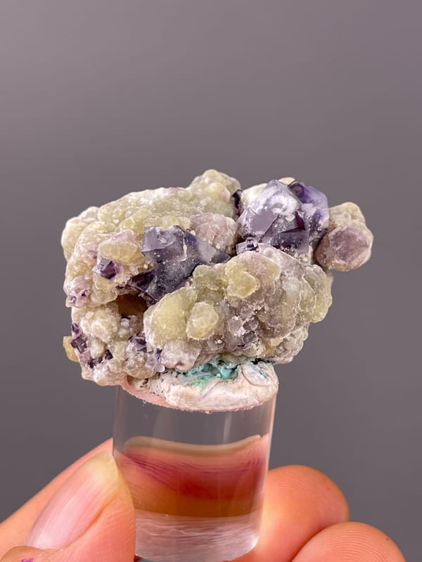 Phantom Fluorite specimen from Chifeng, Inner Mongolia, China featuring purple fluorite with cream botryoidal coating