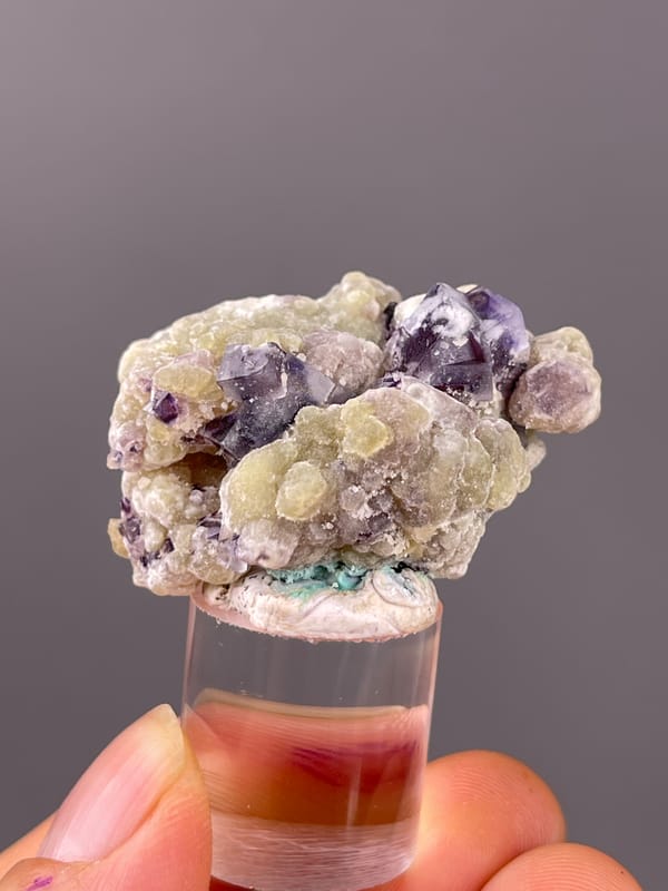 Phantom Fluorite specimen from Chifeng, Inner Mongolia, China showing purple fluorite with cream botryoidal coating
