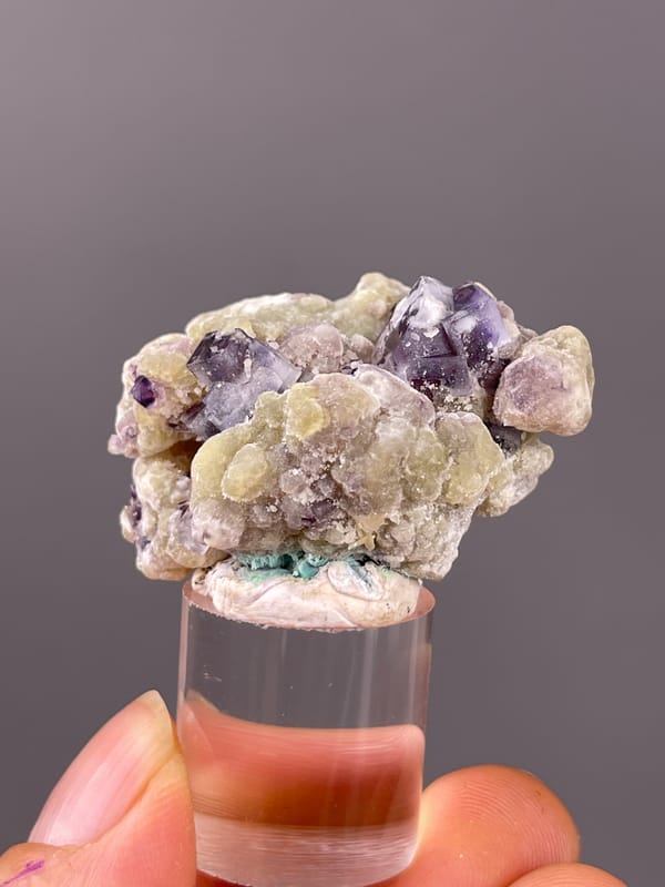 Phantom Fluorite specimen from Chifeng, Inner Mongolia, China presenting purple fluorite with cream botryoidal coating