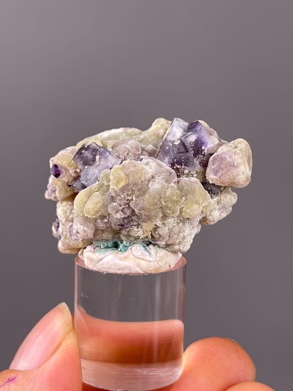 Purple fluorite with cream botryoidal coating visible on phantom fluorite specimen from Chifeng, Inner Mongolia, China