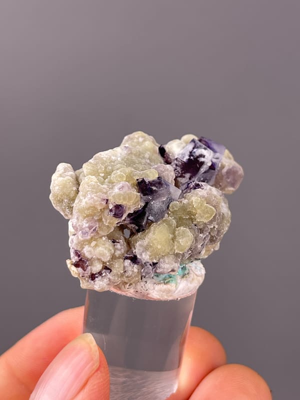 Phantom Fluorite specimen from Chifeng, Inner Mongolia, China displaying purple fluorite with cream botryoidal coating
