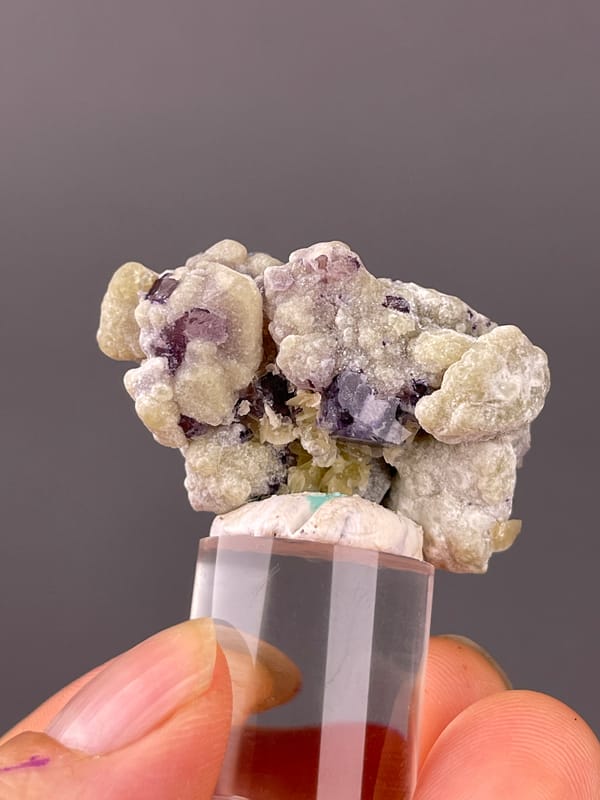 Phantom Fluorite specimen from Chifeng, Inner Mongolia, China highlighting purple fluorite with cream botryoidal coating