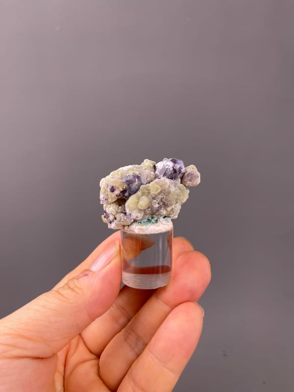 Phantom Fluorite specimen from Chifeng, Inner Mongolia, China bearing purple fluorite with cream botryoidal coating