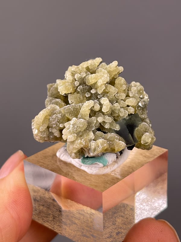 Phantom Fluorite specimen from Chifeng, Inner Mongolia, China showing tan botryoidal aggregates with druse