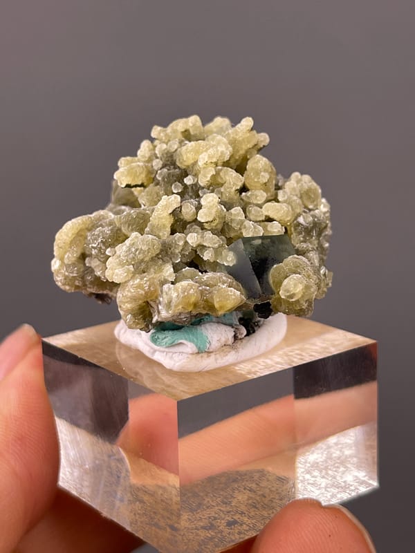 Phantom Fluorite specimen from Chifeng, Inner Mongolia, China, defined by tan botryoidal aggregates with druse