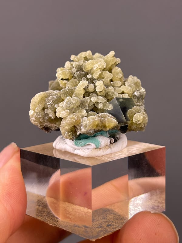 Phantom Fluorite specimen from Chifeng, Inner Mongolia, China presenting tan botryoidal aggregates with druse