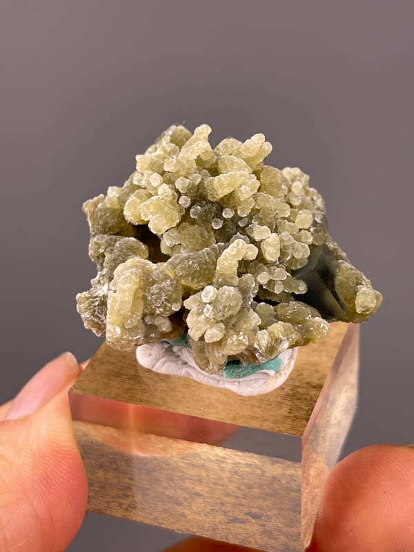 Tan botryoidal aggregates with druse visible on phantom fluorite specimen from Chifeng, Inner Mongolia, China