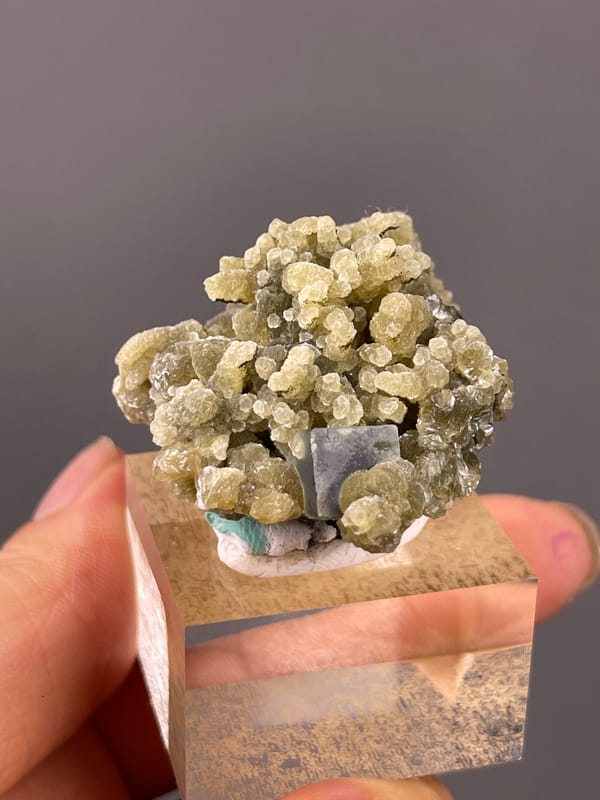 Phantom Fluorite specimen from Chifeng, Inner Mongolia, China displaying tan botryoidal aggregates with druse