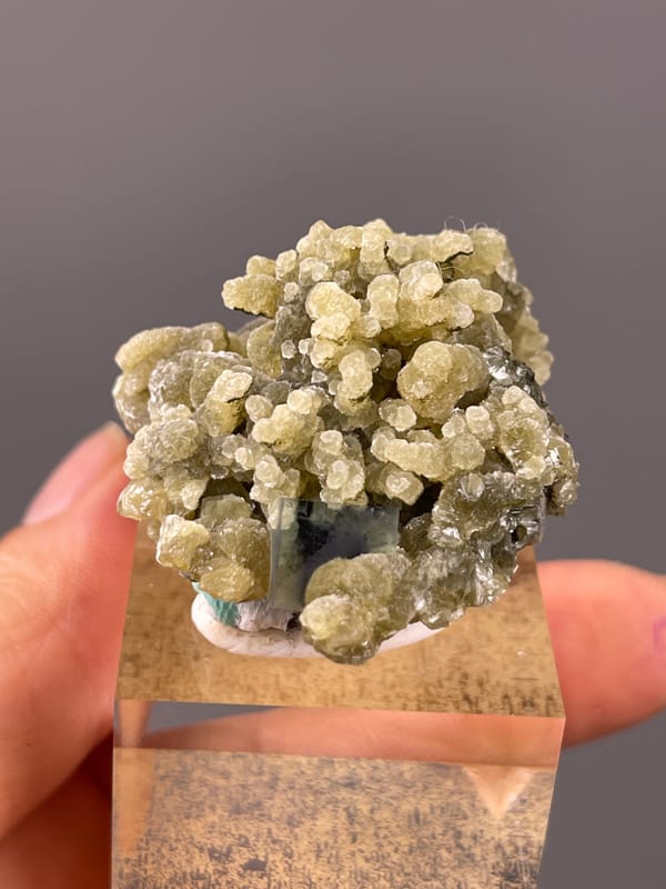 Tan botryoidal aggregates with druse on natural phantom fluorite specimen from Chifeng, Inner Mongolia, China