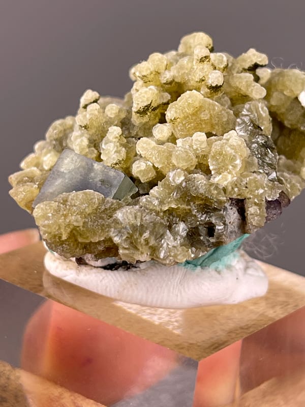 Phantom Fluorite specimen from Chifeng, Inner Mongolia, China highlighting tan botryoidal aggregates with druse