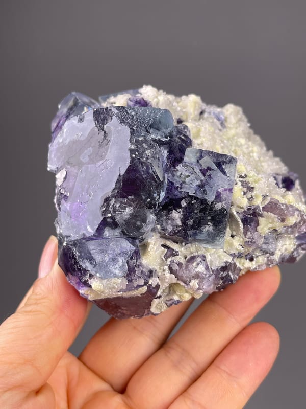 Phantom Fluorite specimen from Inner Mongolia, China presenting purple cubes in cream matrix