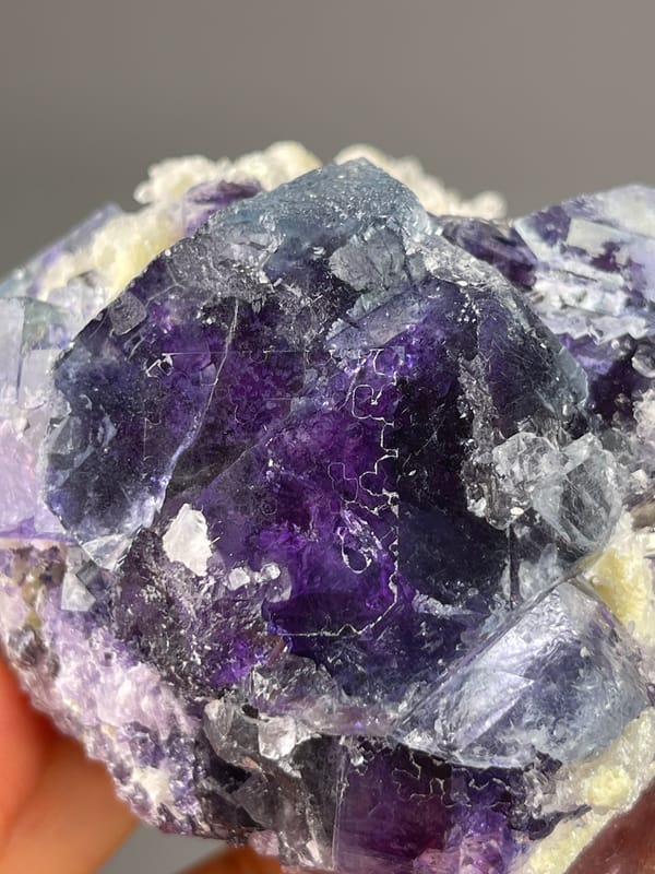 Phantom Fluorite specimen from Inner Mongolia, China highlighting purple cubes in cream matrix