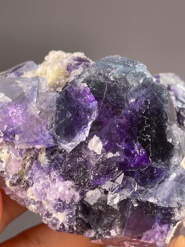 Phantom Fluorite specimen from Inner Mongolia, China bearing purple cubes in cream matrix