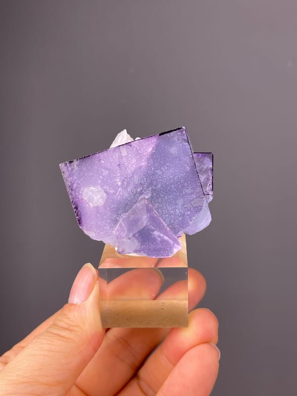Phantom Fluorite specimen from Yaogangxian Mine, Hunan, China featuring zoned translucent purple cubes