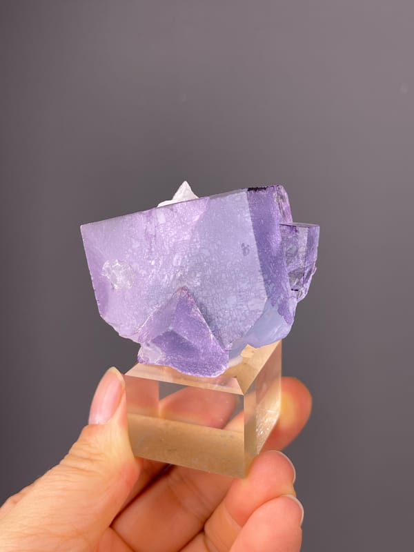 Phantom Fluorite specimen from Yaogangxian Mine, Hunan, China showing zoned translucent purple cubes