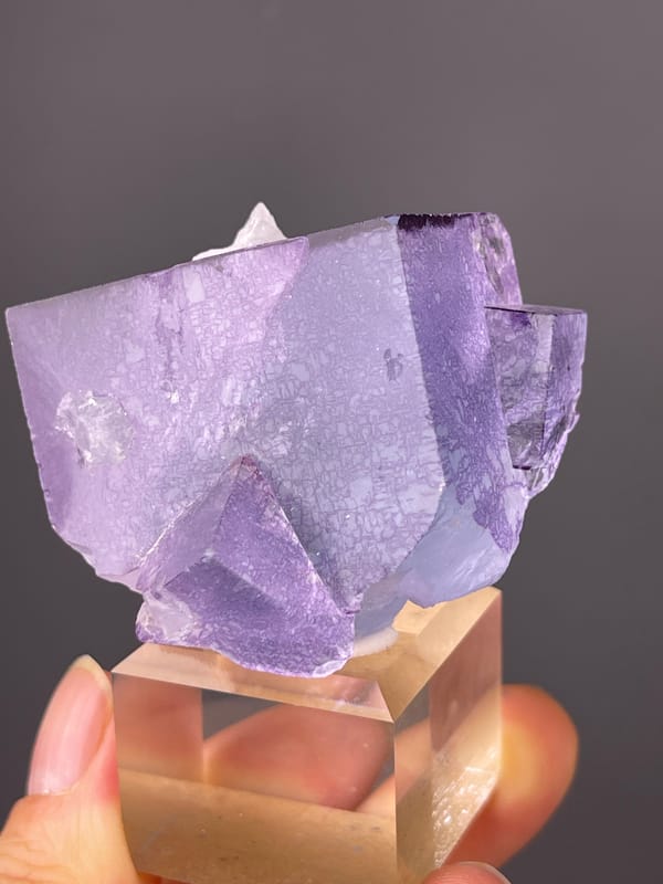 Phantom Fluorite specimen from Yaogangxian Mine, Hunan, China, defined by zoned translucent purple cubes