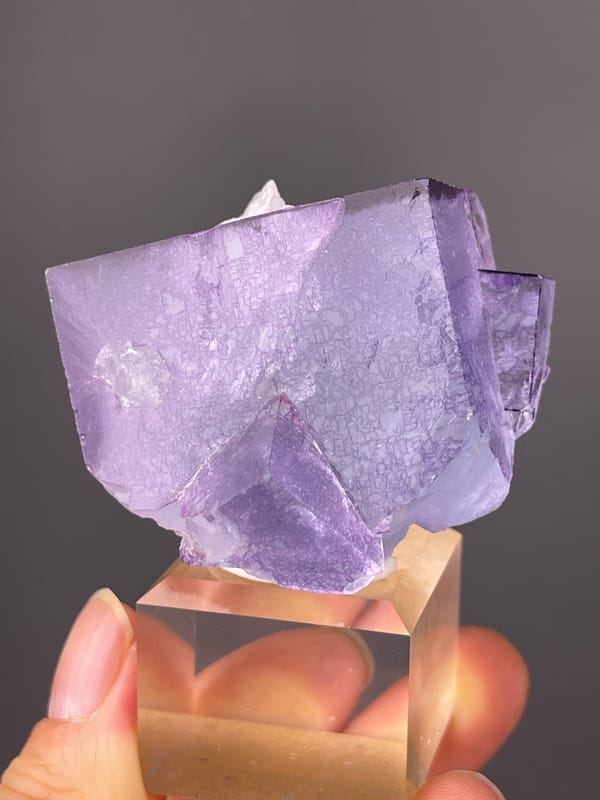Phantom Fluorite specimen from Yaogangxian Mine, Hunan, China presenting zoned translucent purple cubes