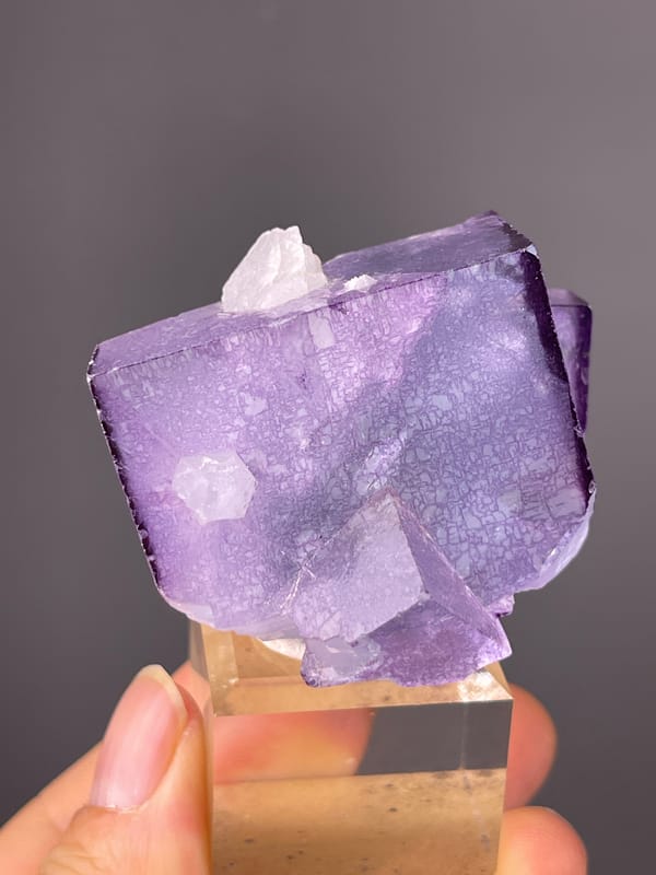 Zoned translucent purple cubes visible on phantom fluorite specimen from Yaogangxian Mine, Hunan, China