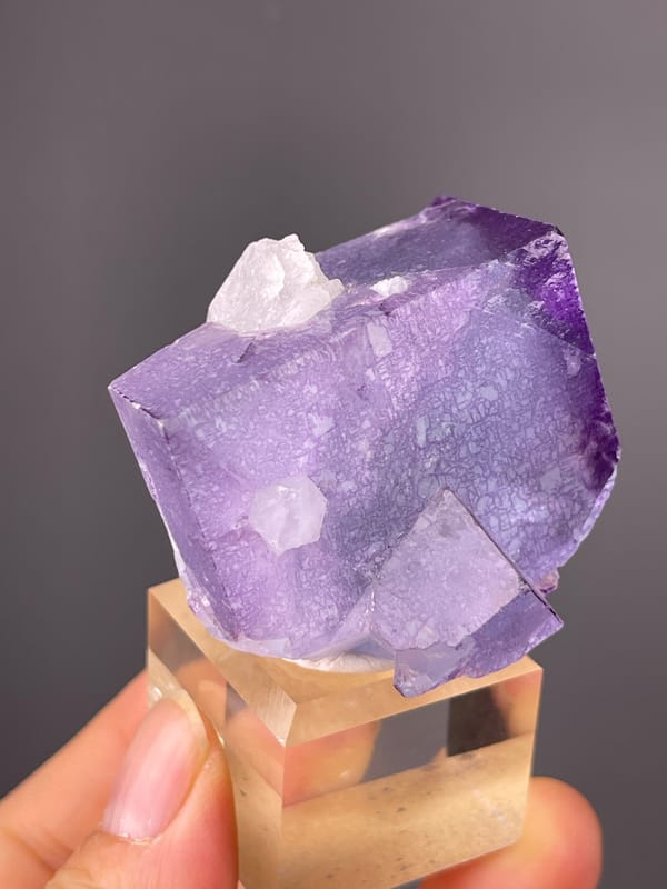 Phantom Fluorite specimen from Yaogangxian Mine, Hunan, China displaying zoned translucent purple cubes