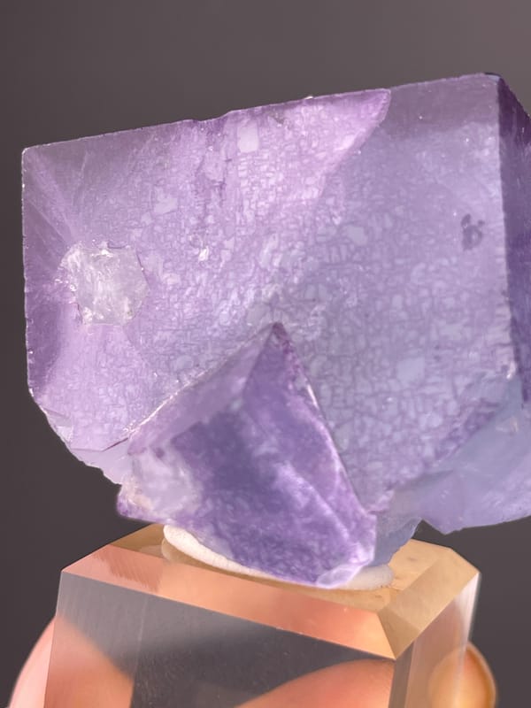 Phantom Fluorite specimen from Yaogangxian Mine, Hunan, China highlighting zoned translucent purple cubes