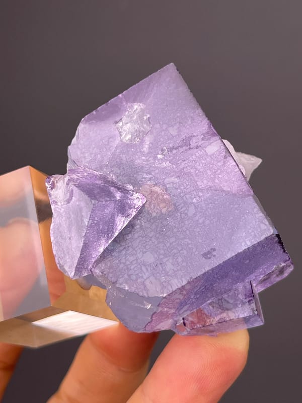 Phantom Fluorite specimen from Yaogangxian Mine, Hunan, China, characterized by zoned translucent purple cubes