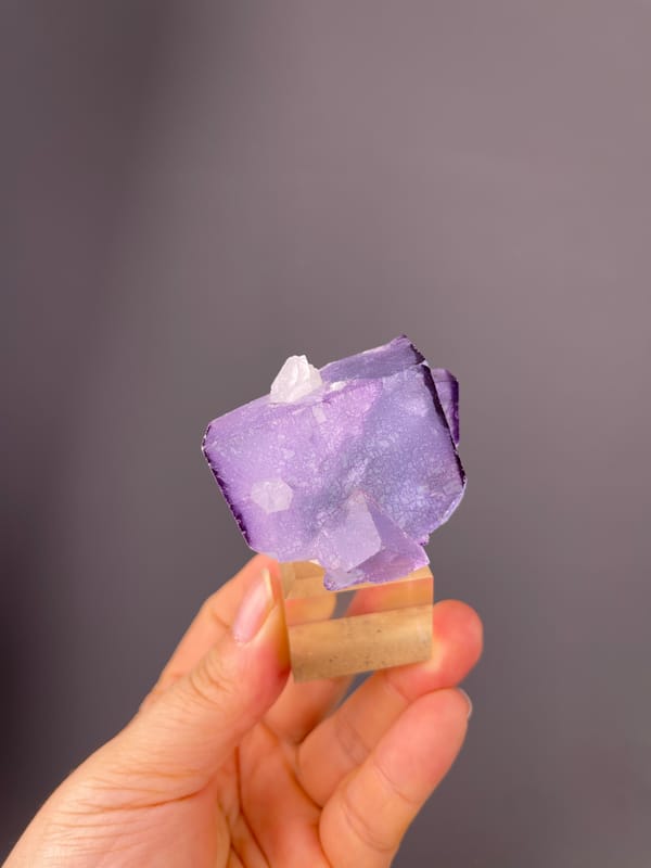 Phantom Fluorite specimen from Yaogangxian Mine, Hunan, China bearing zoned translucent purple cubes
