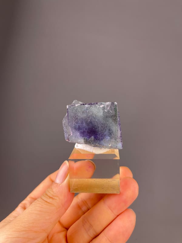Green-purple zoned cubic crystal on natural phantom fluorite specimen from Yaogangxian Mine, Hunan, China