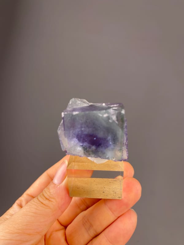 Phantom Fluorite specimen from Yaogangxian Mine, Hunan, China highlighting green-purple zoned cubic crystal